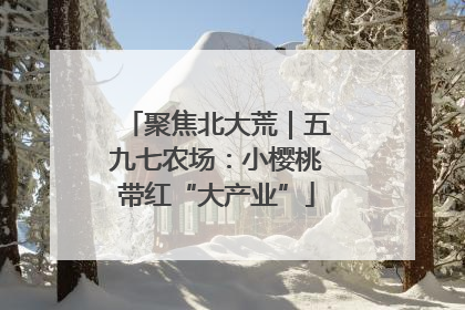 聚焦北大荒｜五九七农场：小樱桃带红“大产业”