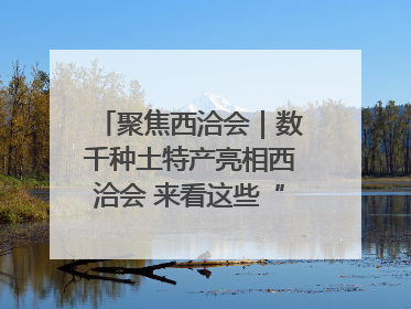聚焦西洽会｜数千种土特产亮相西洽会 来看这些“爆款”产品