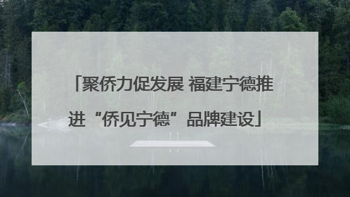 聚侨力促发展 福建宁德推进“侨见宁德”品牌建设