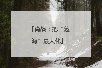 肖战：把“藏海”最大化