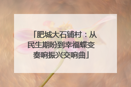 肥城大石铺村：从民生期盼到幸福蝶变奏响振兴交响曲