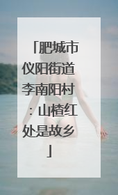 肥城市仪阳街道李南阳村：山楂红处是故乡