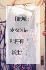 肥城：麦收过后秸秆有“新生”