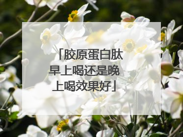胶原蛋白肽早上喝还是晚上喝效果好