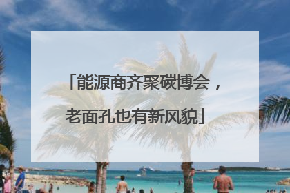 能源商齐聚碳博会，老面孔也有新风貌