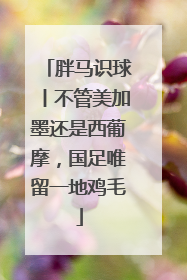 胖马识球丨不管美加墨还是西葡摩，国足唯留一地鸡毛