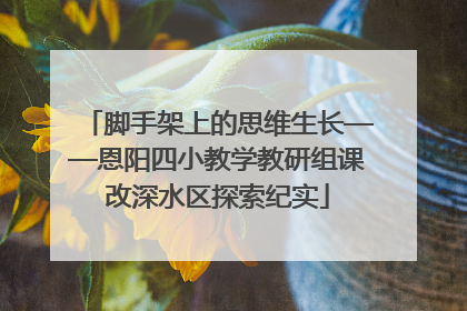 脚手架上的思维生长——恩阳四小教学教研组课改深水区探索纪实