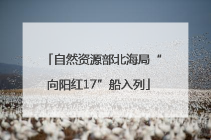 自然资源部北海局“向阳红17”船入列