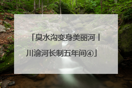 臭水沟变身美丽河丨川渝河长制五年间④