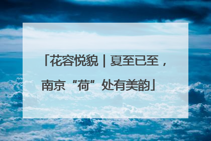 花容悦貌｜夏至已至，南京“荷”处有美韵