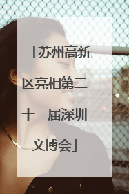 苏州高新区亮相第二十一届深圳文博会