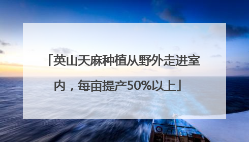 英山天麻种植从野外走进室内，每亩提产50%以上