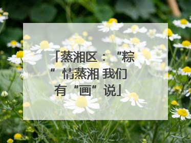 蒸湘区：“粽”情蒸湘 我们有“画”说