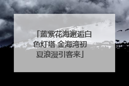 蓝紫花海邂逅白色灯塔 金海湾初夏浪漫引客来