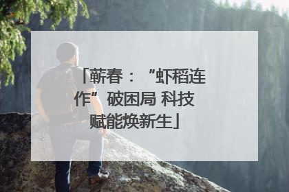蕲春：“虾稻连作”破困局 科技赋能焕新生