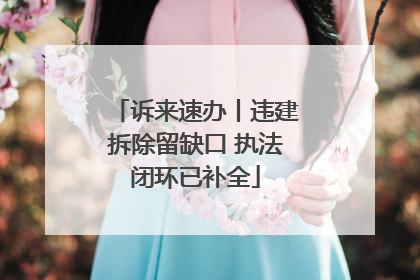 诉来速办丨违建拆除留缺口 执法闭环已补全