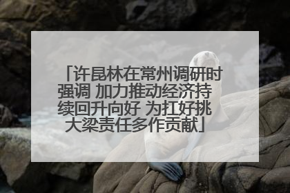 许昆林在常州调研时强调 加力推动经济持续回升向好 为扛好挑大梁责任多作贡献