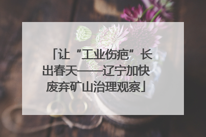 让“工业伤疤”长出春天——辽宁加快废弃矿山治理观察