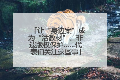 让“身边案”成为“活教材”、非遗版权保护……代表们关注这些事
