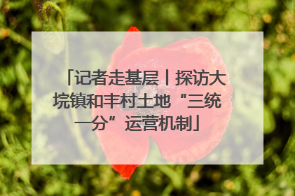 记者走基层丨探访大垸镇和丰村土地“三统一分”运营机制