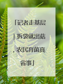 记者走基层｜拆袋就出菇，农民育菌真省事