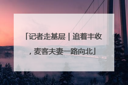 记者走基层｜追着丰收，麦客夫妻一路向北