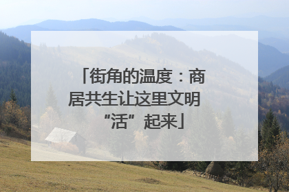 街角的温度：商居共生让这里文明“活”起来