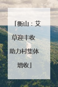 衡山：艾草迎丰收 助力村集体增收