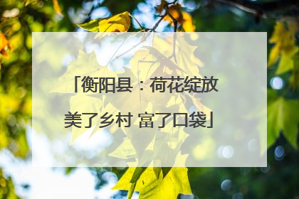 衡阳县：荷花绽放 美了乡村 富了口袋