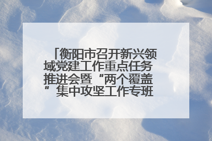 衡阳市召开新兴领域党建工作重点任务推进会暨“两个覆盖”集中攻坚工作专班 第一次会议
