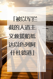 被以军拦截的人道主义救援船抵达以色列阿什杜德港
