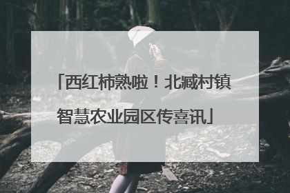 西红柿熟啦！北臧村镇智慧农业园区传喜讯