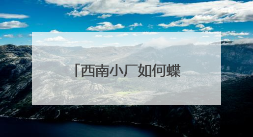 西南小厂如何蝶变为领军企业