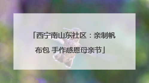 西宁南山东社区：亲制帆布包 手作感恩母亲节