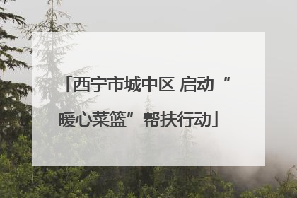 西宁市城中区 启动“暖心菜篮”帮扶行动
