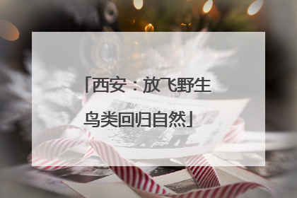西安：放飞野生鸟类回归自然