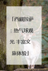西藏拉萨：热气球观光 丰富文旅体验