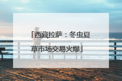 西藏拉萨：冬虫夏草市场交易火爆