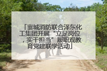襄城消防联合泽东化工集团开展“立足岗位，实干担当”履职观教育党建联学活动