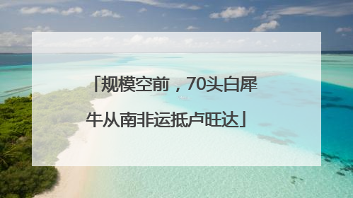规模空前，70头白犀牛从南非运抵卢旺达