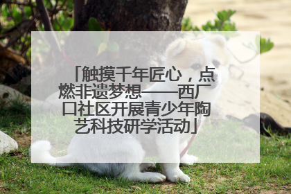 触摸千年匠心，点燃非遗梦想——西厂口社区开展青少年陶艺科技研学活动