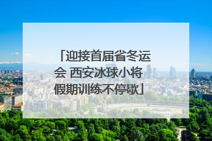 迎接首届省冬运会 西安冰球小将假期训练不停歇