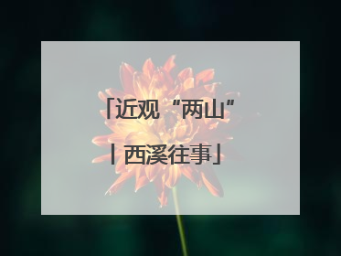 近观“两山”丨西溪往事