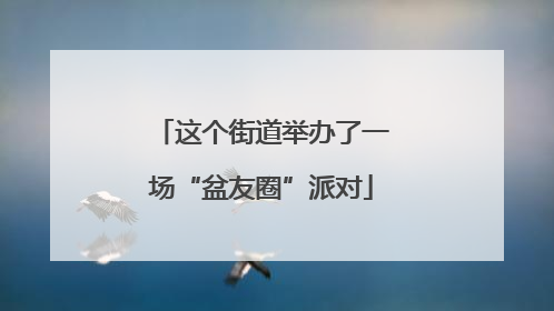 这个街道举办了一场“盆友圈”派对
