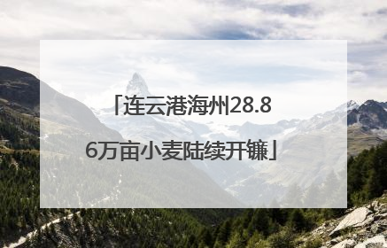连云港海州28.86万亩小麦陆续开镰