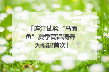 连江试验“马面鱼”夏季高温混养 为福建首次