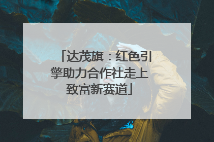 达茂旗：红色引擎助力合作社走上致富新赛道