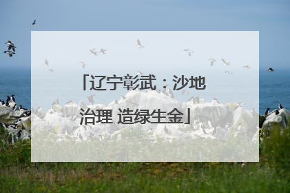 辽宁彰武：沙地治理 造绿生金