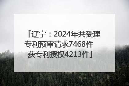 辽宁：2024年共受理专利预审请求7468件 获专利授权4213件