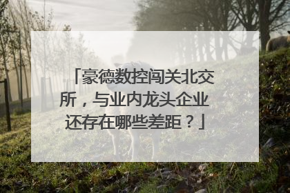 豪德数控闯关北交所，与业内龙头企业还存在哪些差距？